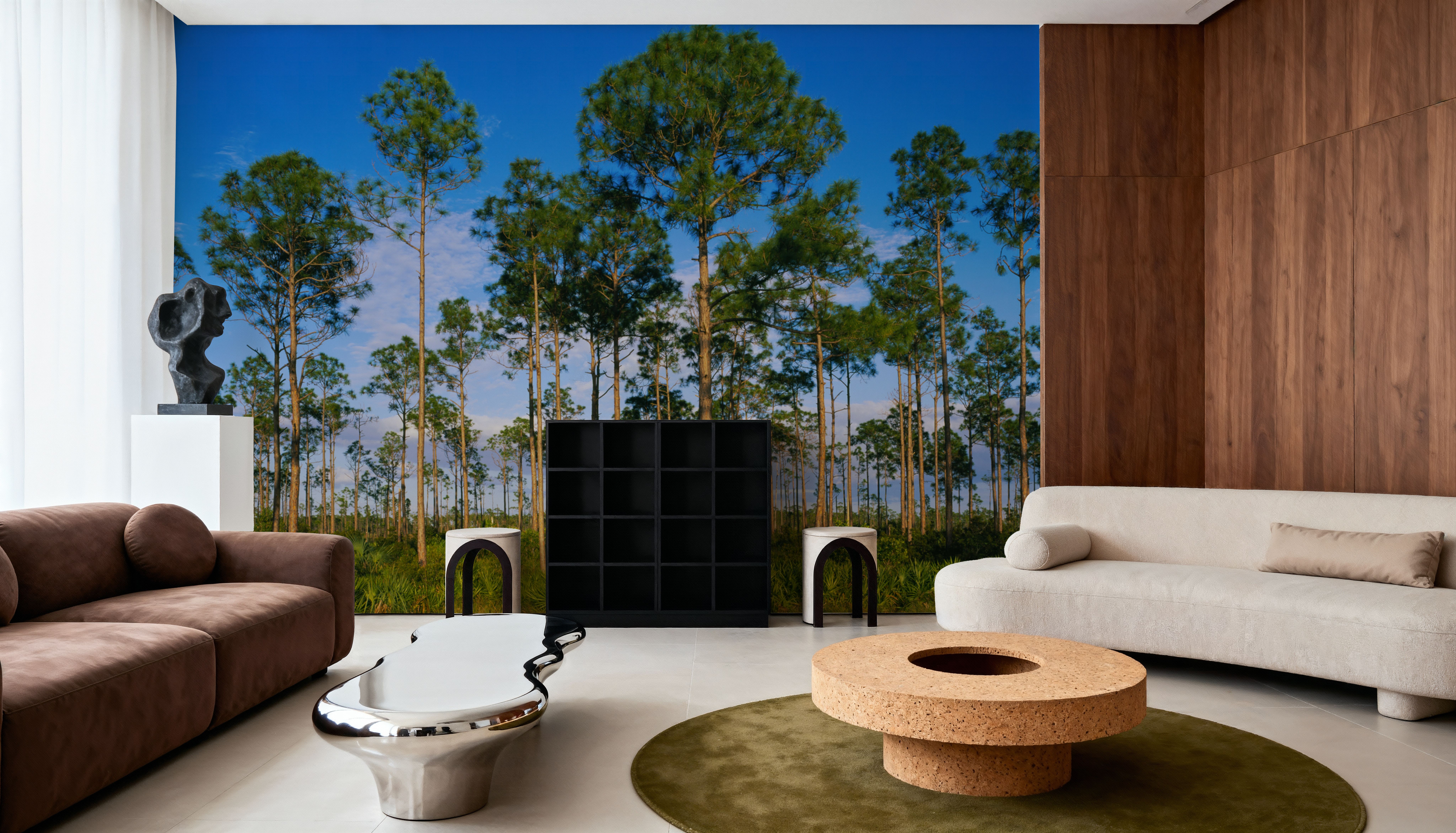 Everglades Tress in Daylight