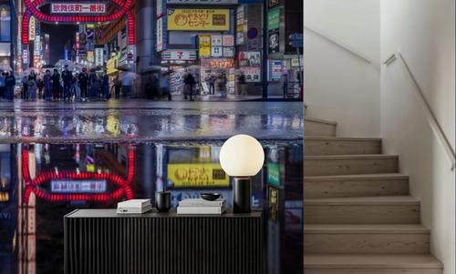 Kabukicho Nightlife Reflections