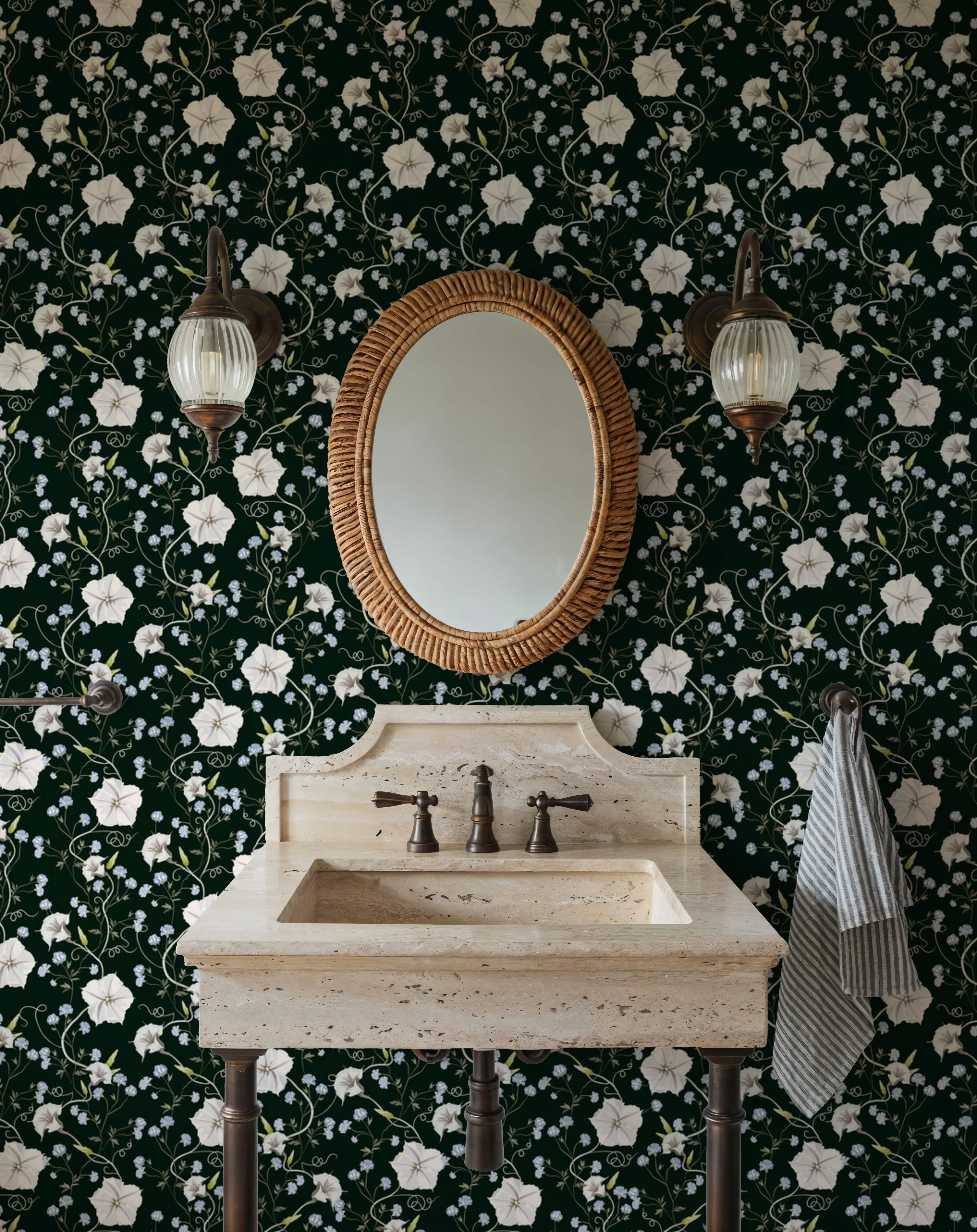 Trailing Morning Glory, Dark Green