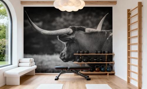 Longhorn Gaze II BW