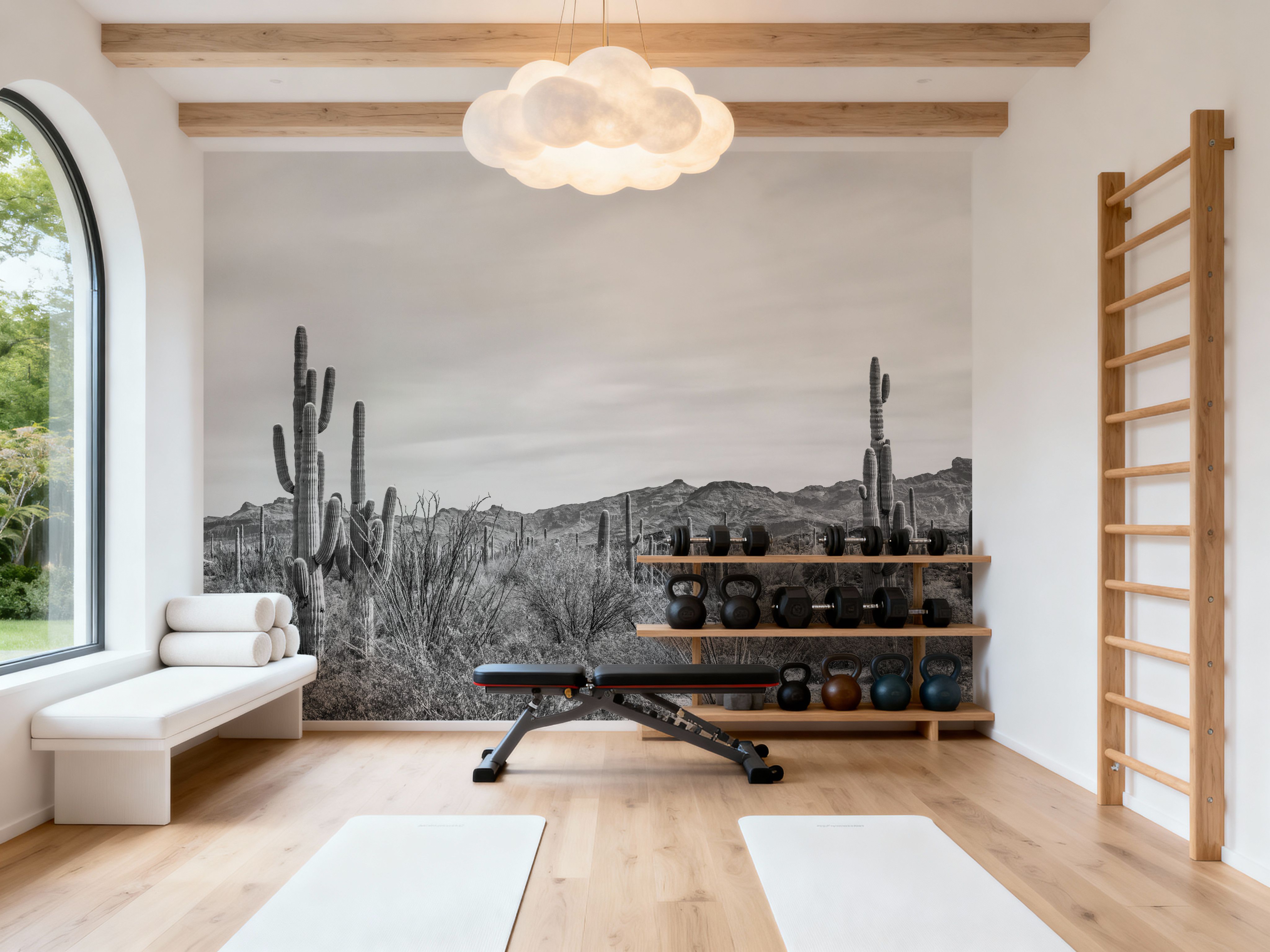 Sonoran Wonderland BW