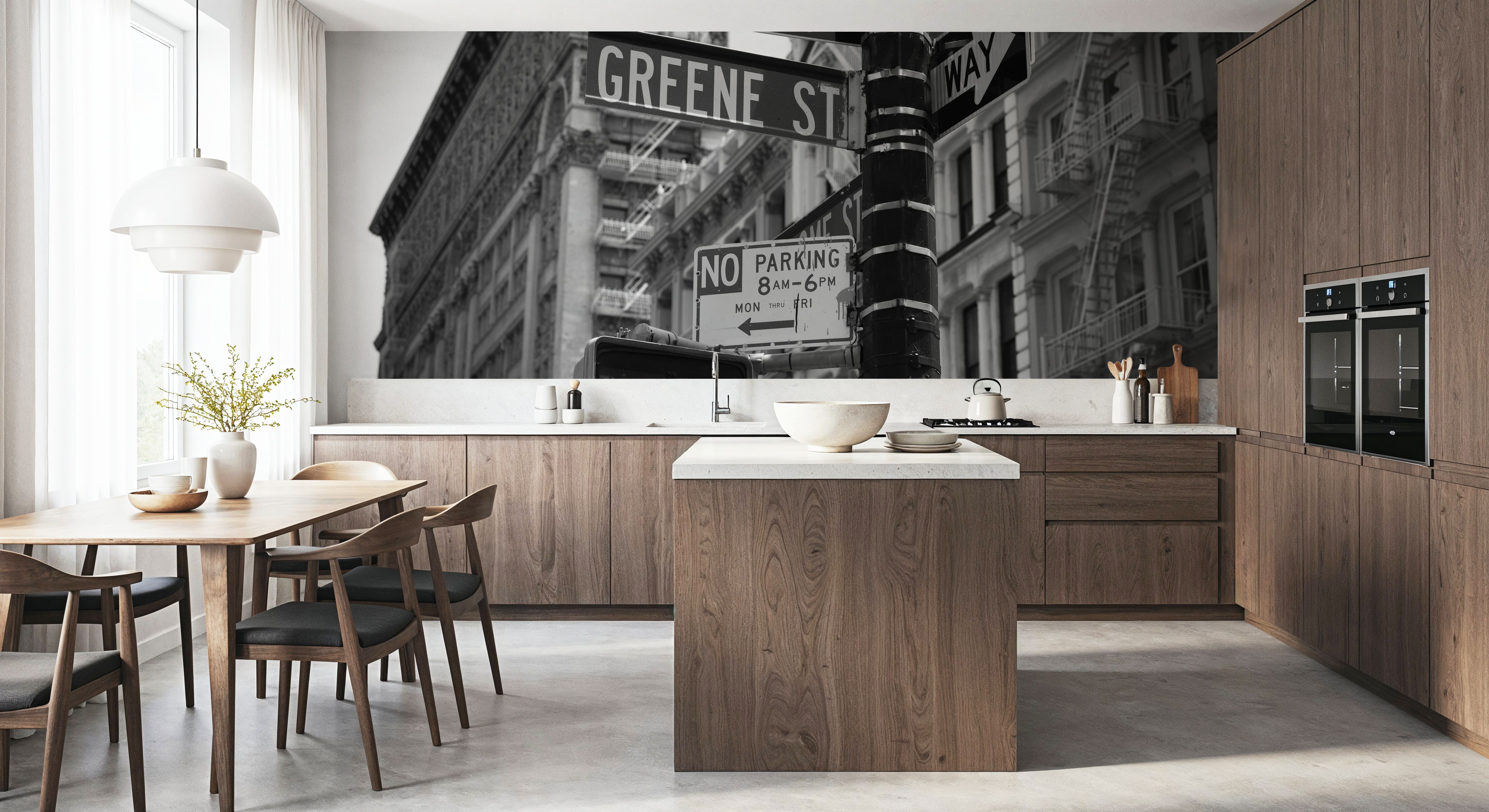 Soho Greene St Sign Manhattan, Black & White