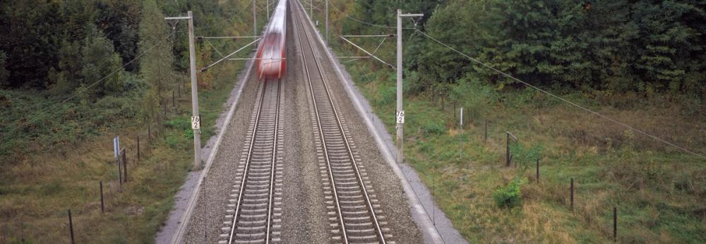 Forest Railway Express