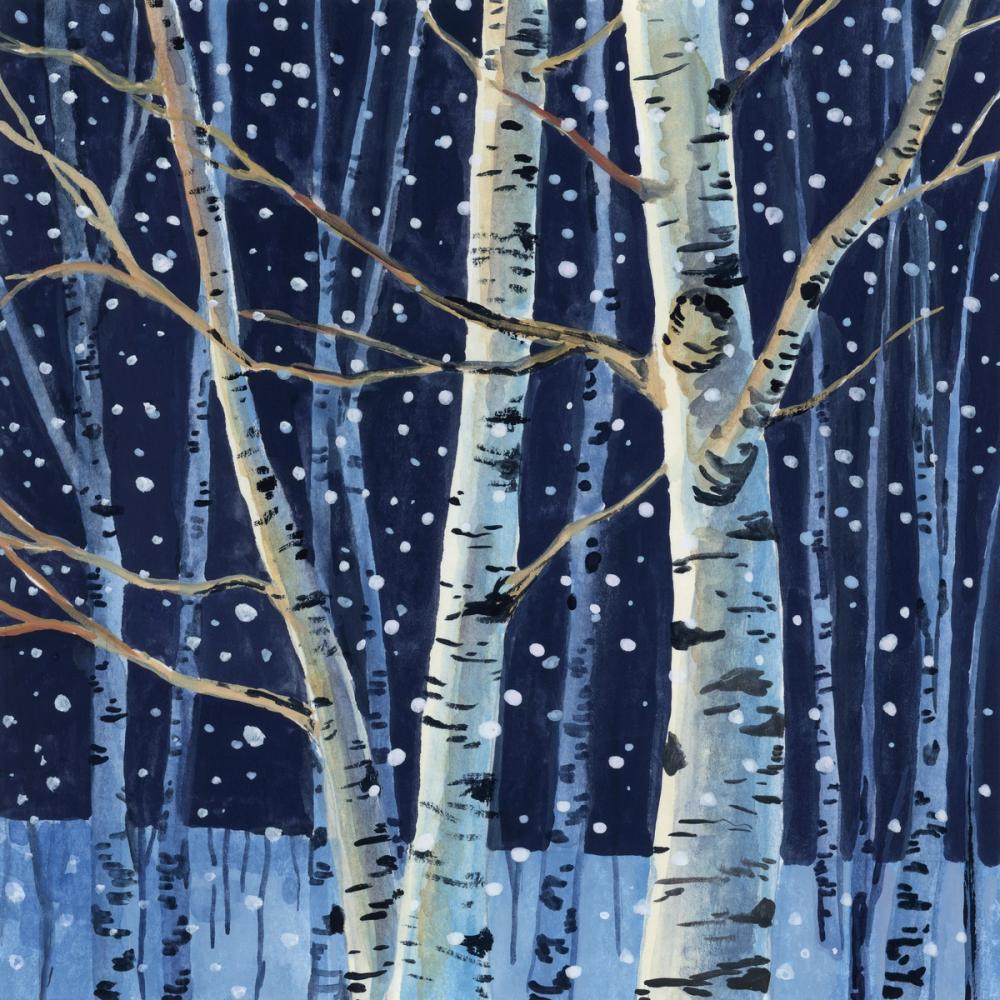 Snowy Birch Grove at Night