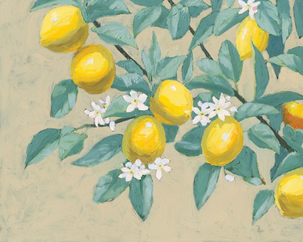 Lemon Branch