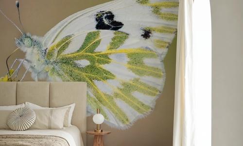 Sagebrush White