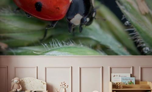 Ladybug Walk
