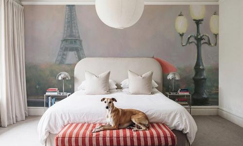 Paris Evening