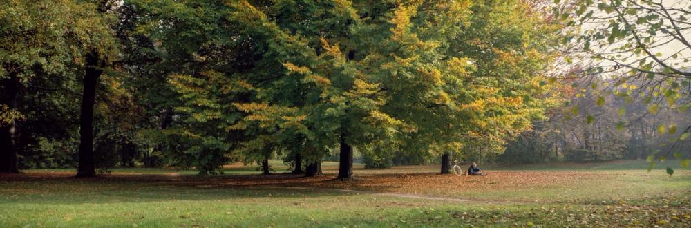 Autumn Bicycle Haven