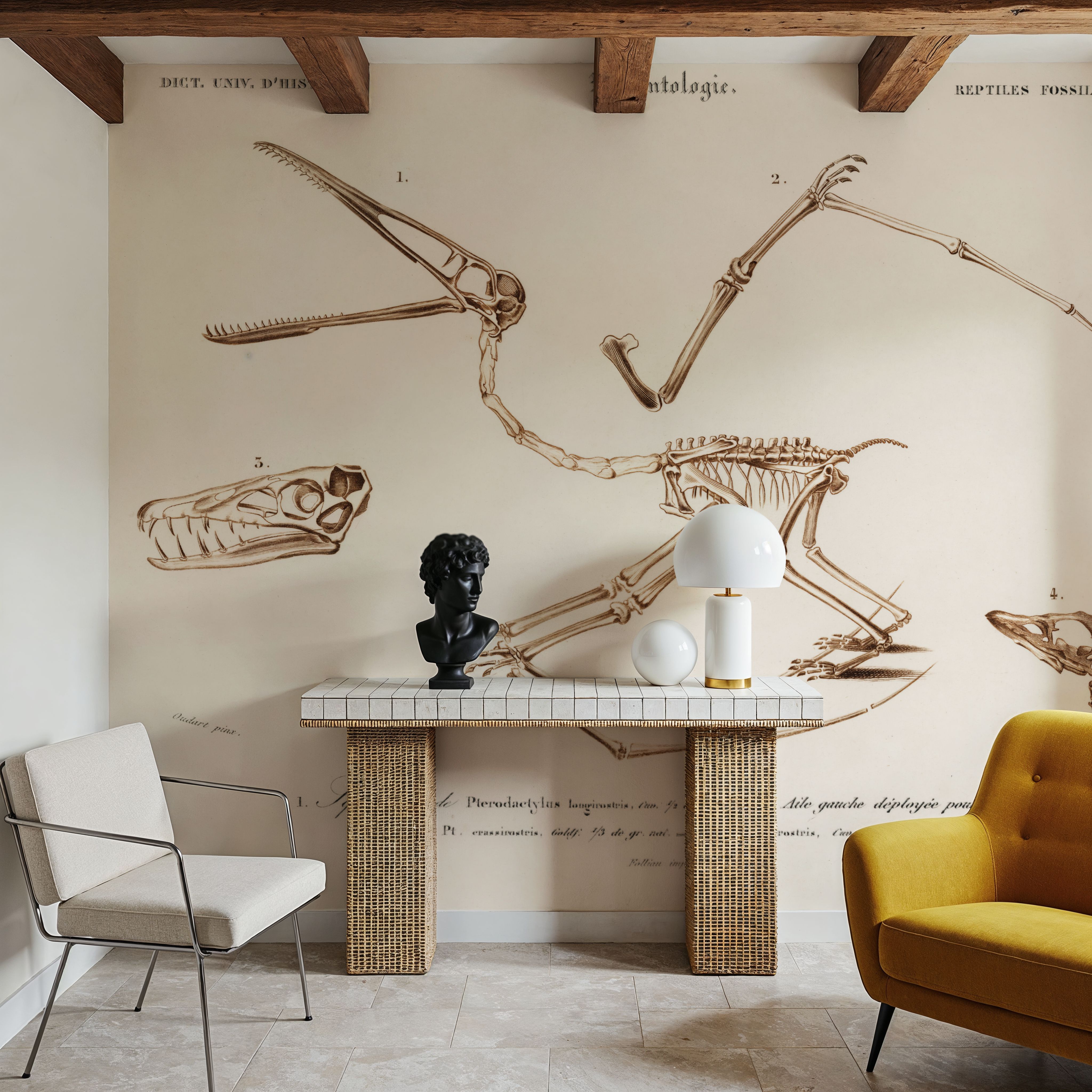 Pterosaur Illustrated