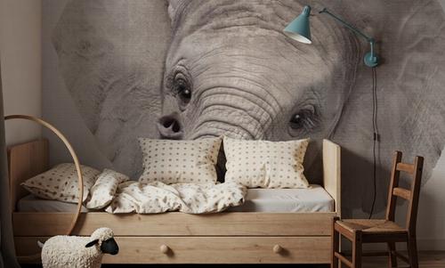 Peekaboo Baby Elephant