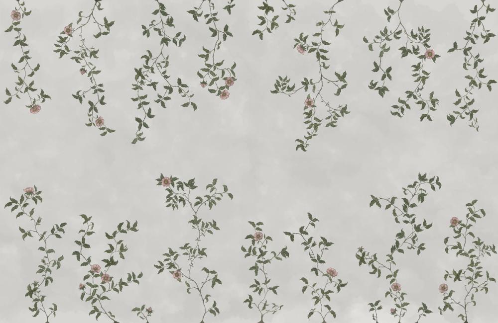 Rambling Rose, Dusty Pink on Cloud