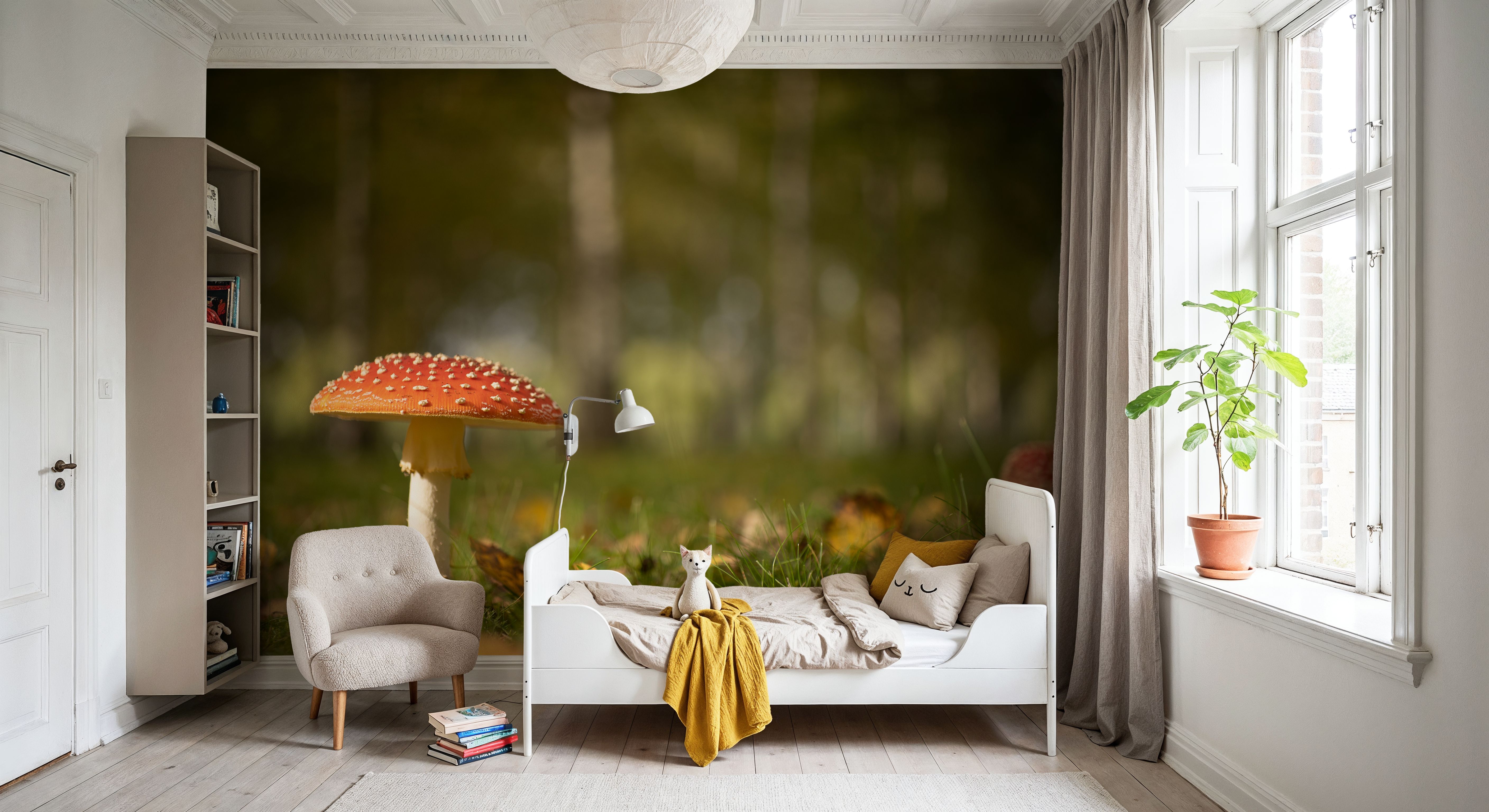 Toadstool Focus