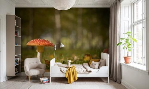 Toadstool Focus