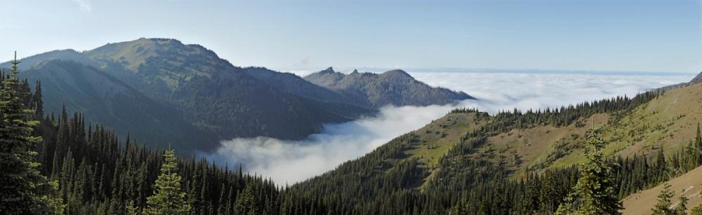 Hurricane Ridge Views