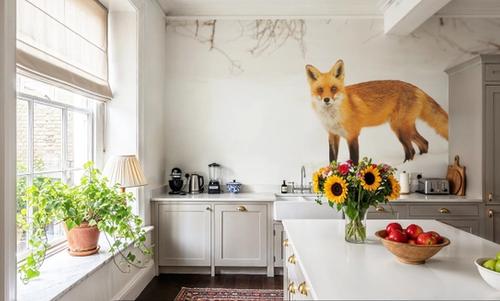 Red Fox IV