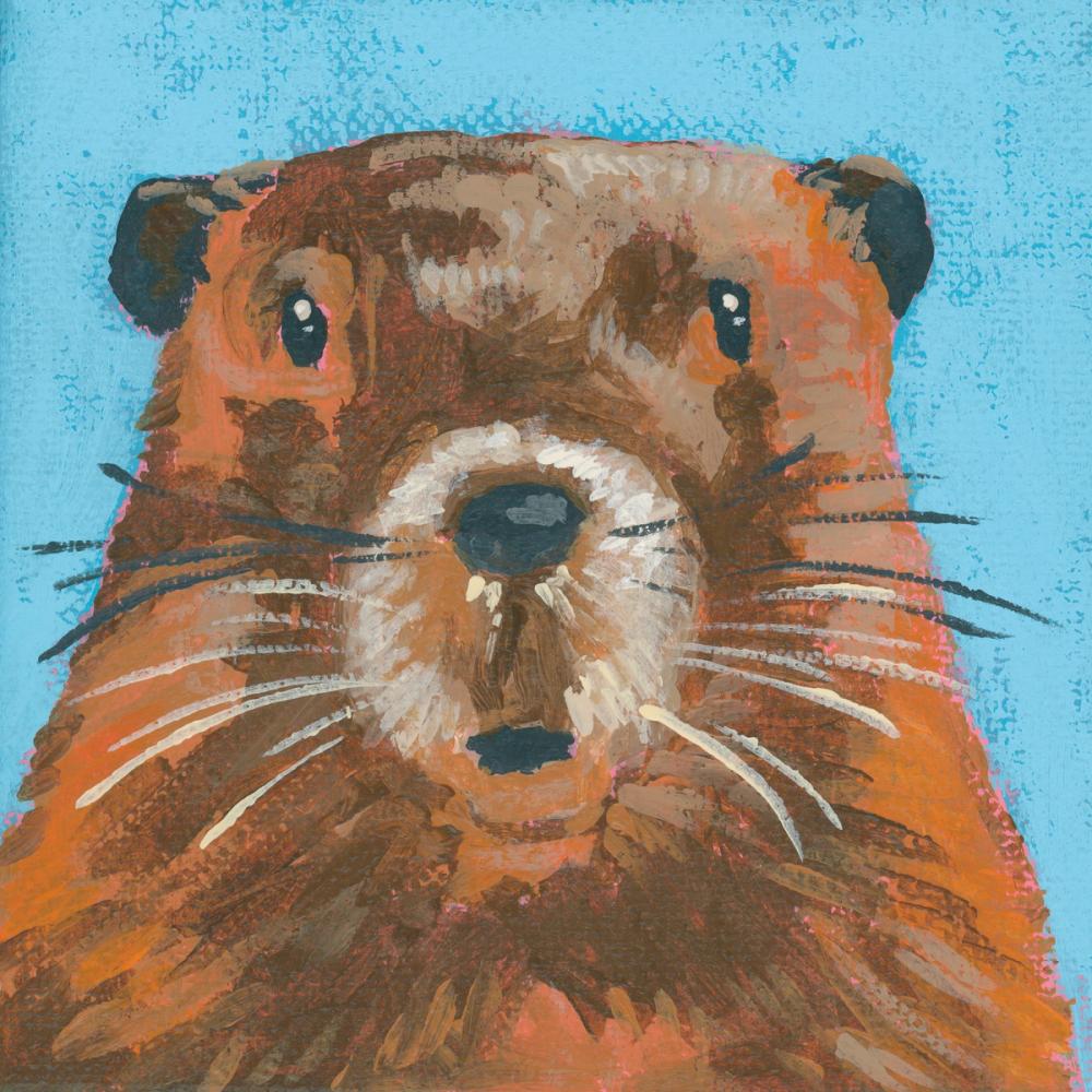 Woodland Beaver