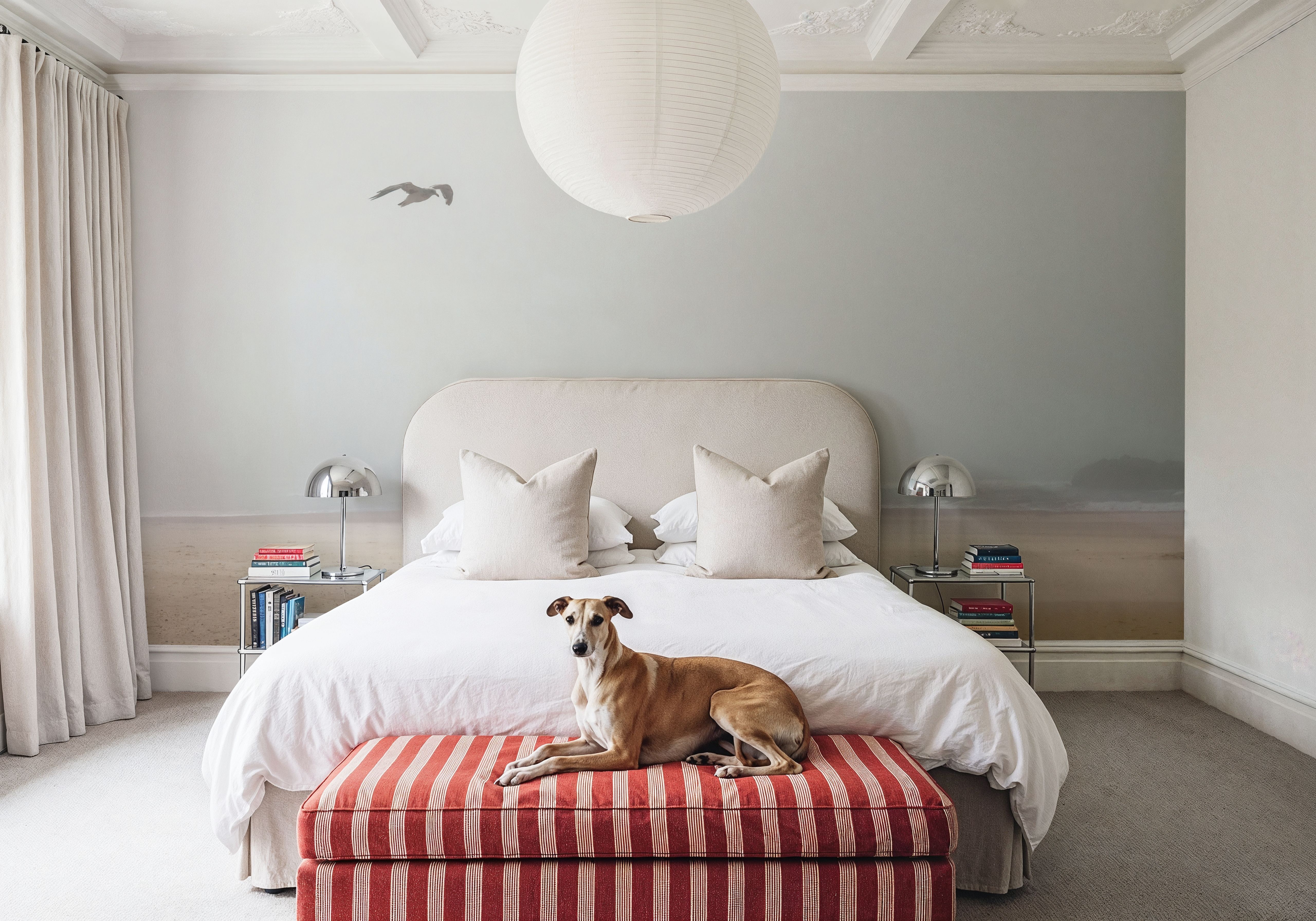 Cold Beach, Wallpaper