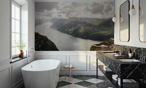 Majestic Fjord Overlook