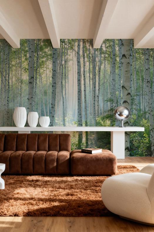 Peaceful Birch Woods