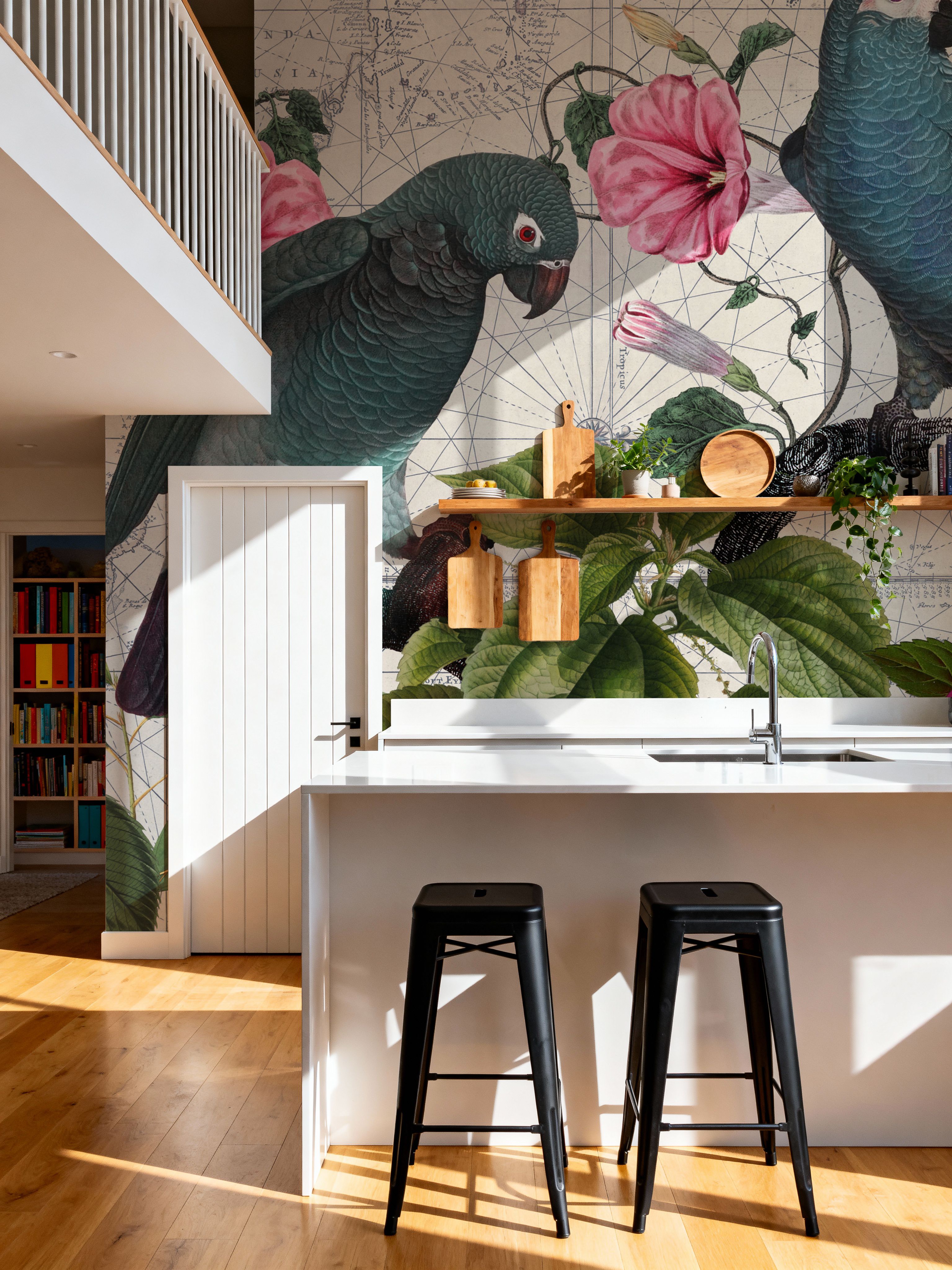 Parrots Nostalgic Journey