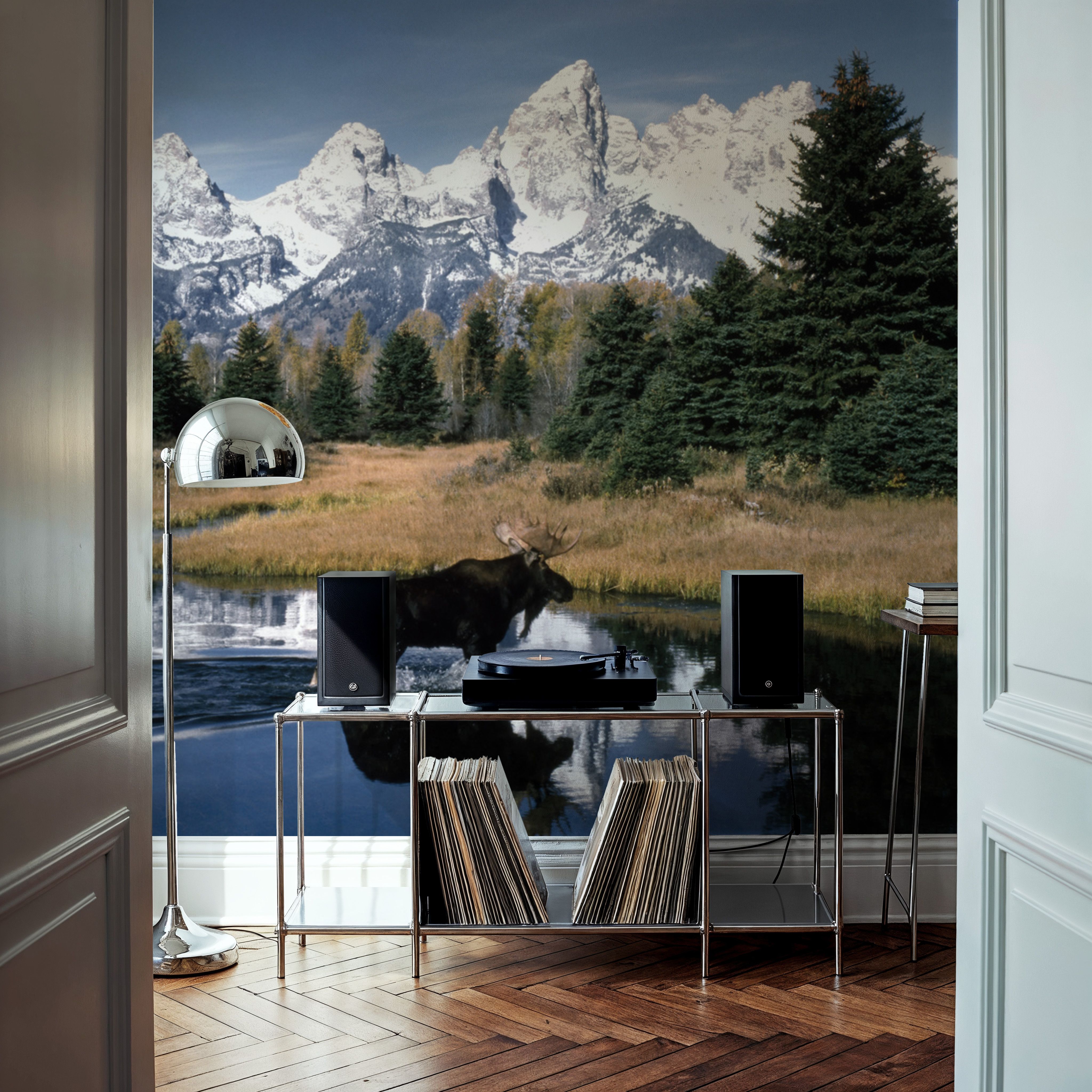 Mountain Moose Serenity