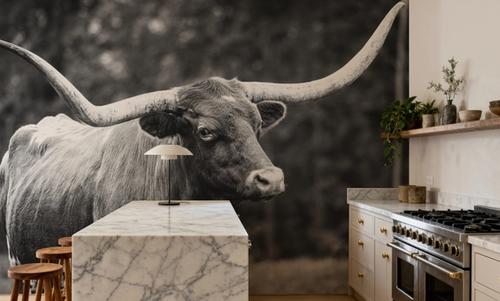 Longhorn Side Eye BW