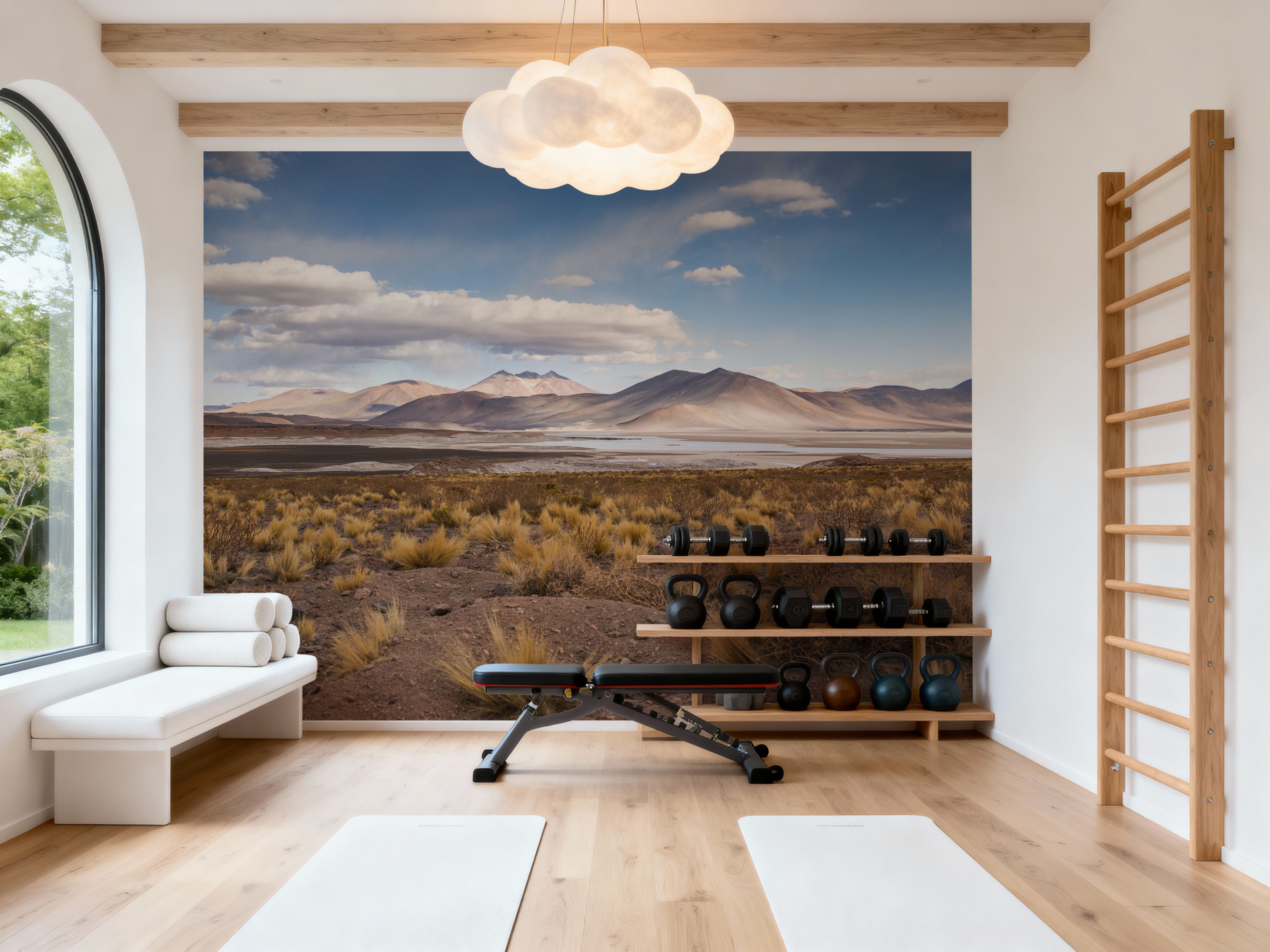 Atacama Desert