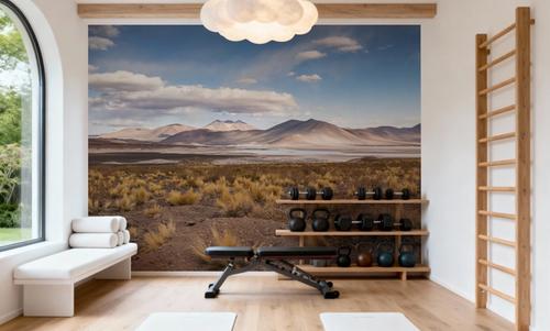 Atacama Desert