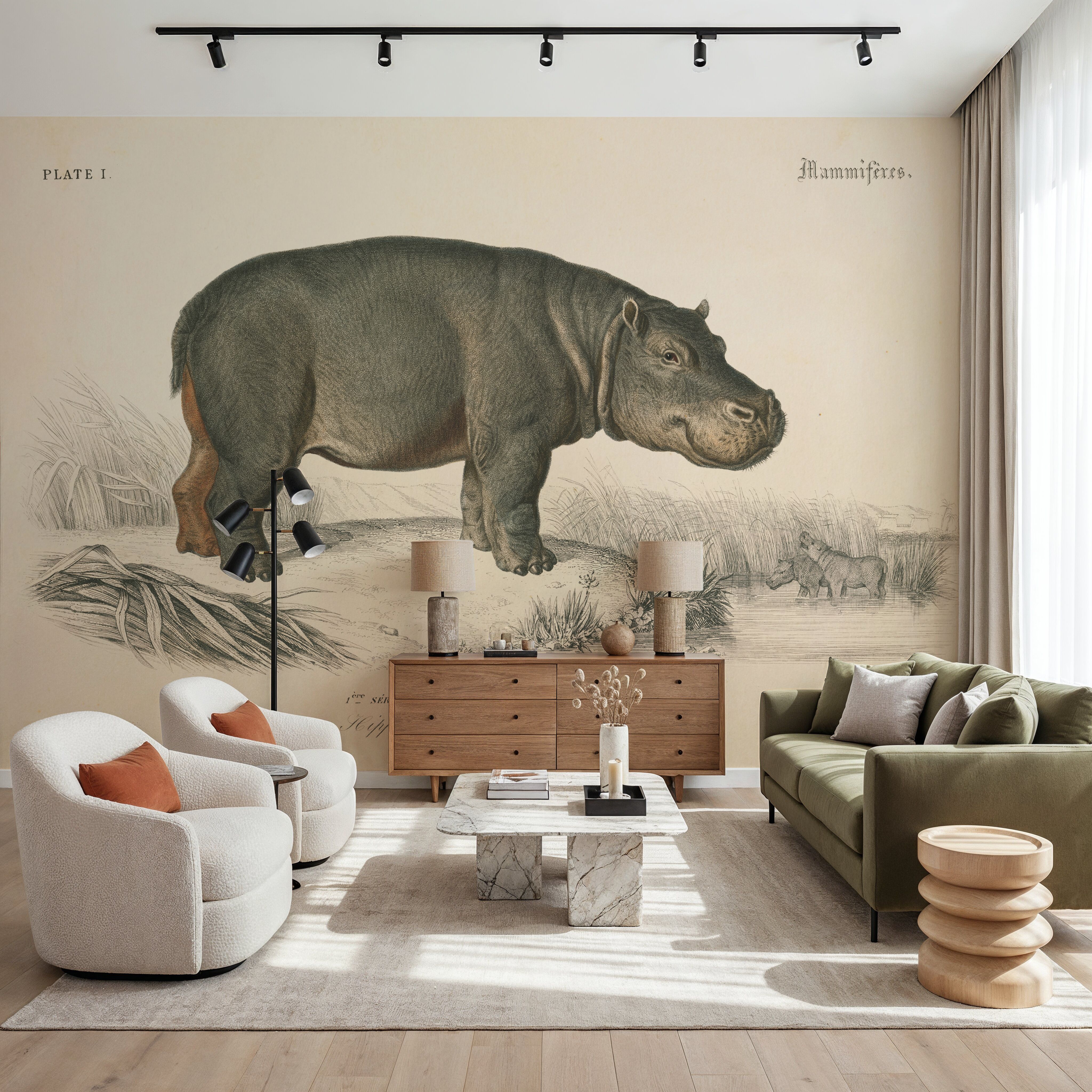 Animals of Africa I