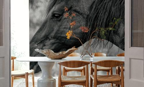 Watchful Dream
