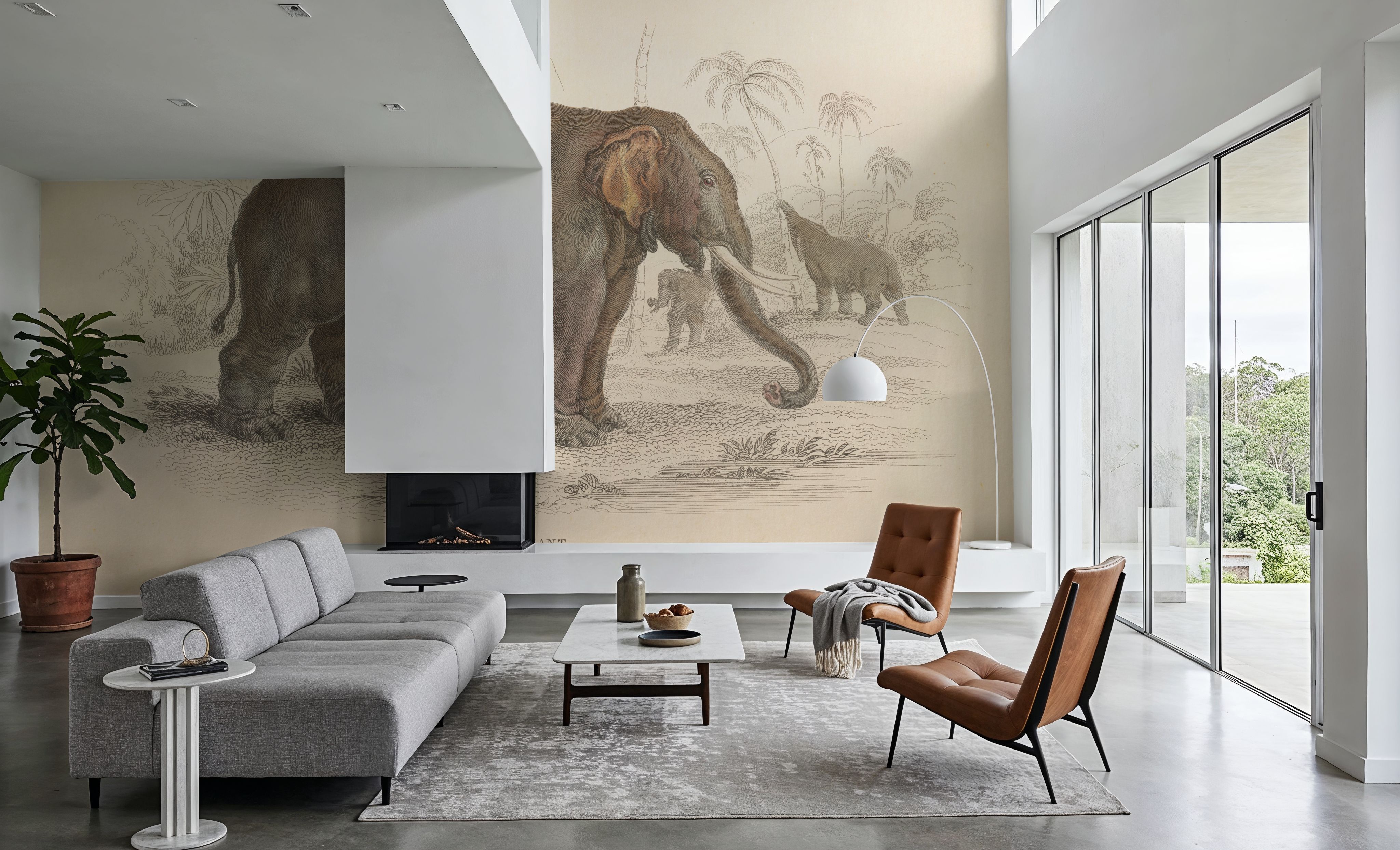 Animals of Africa III