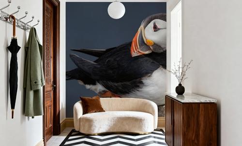 Atlantic Puffin