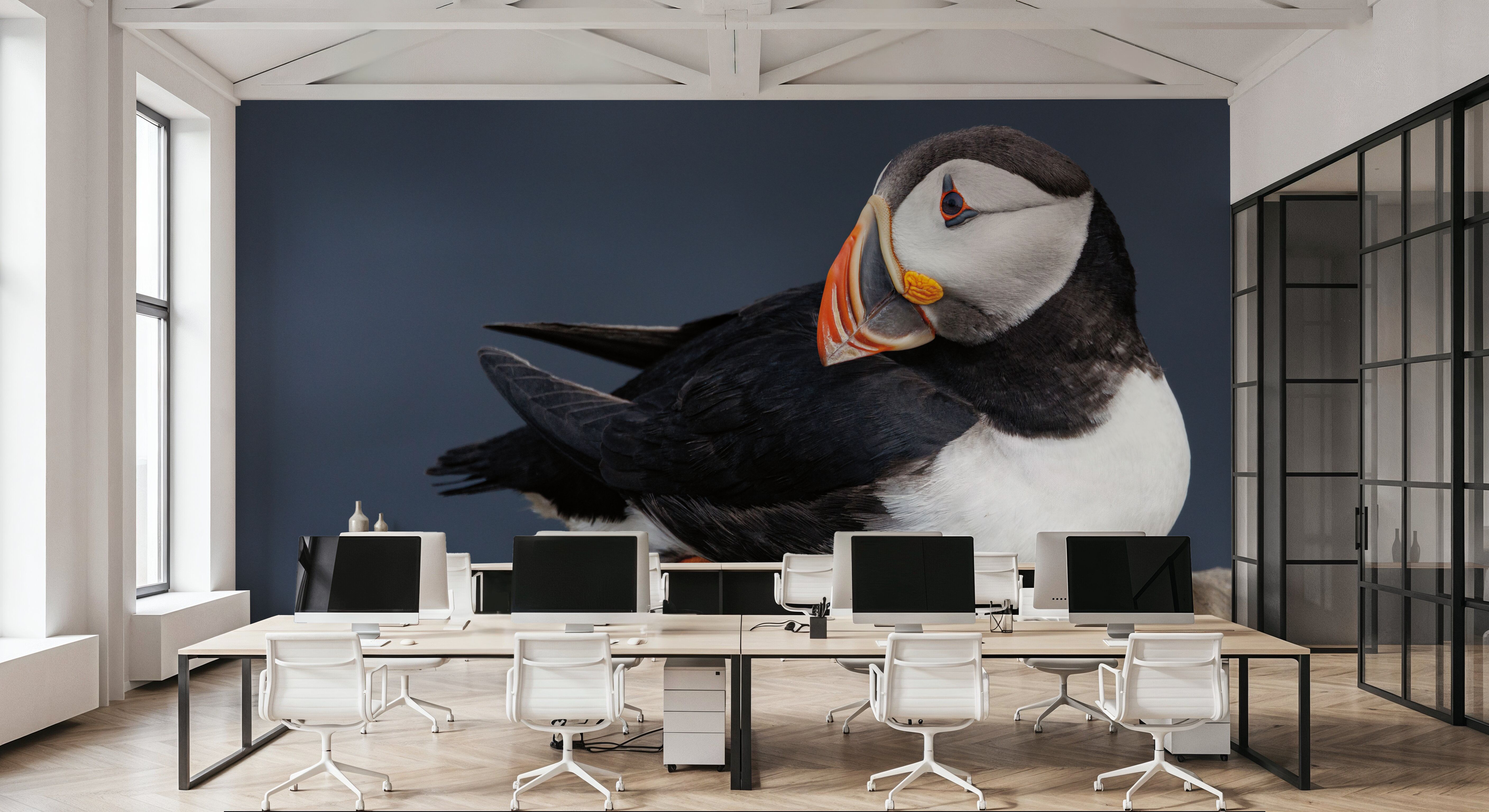 Atlantic Puffin