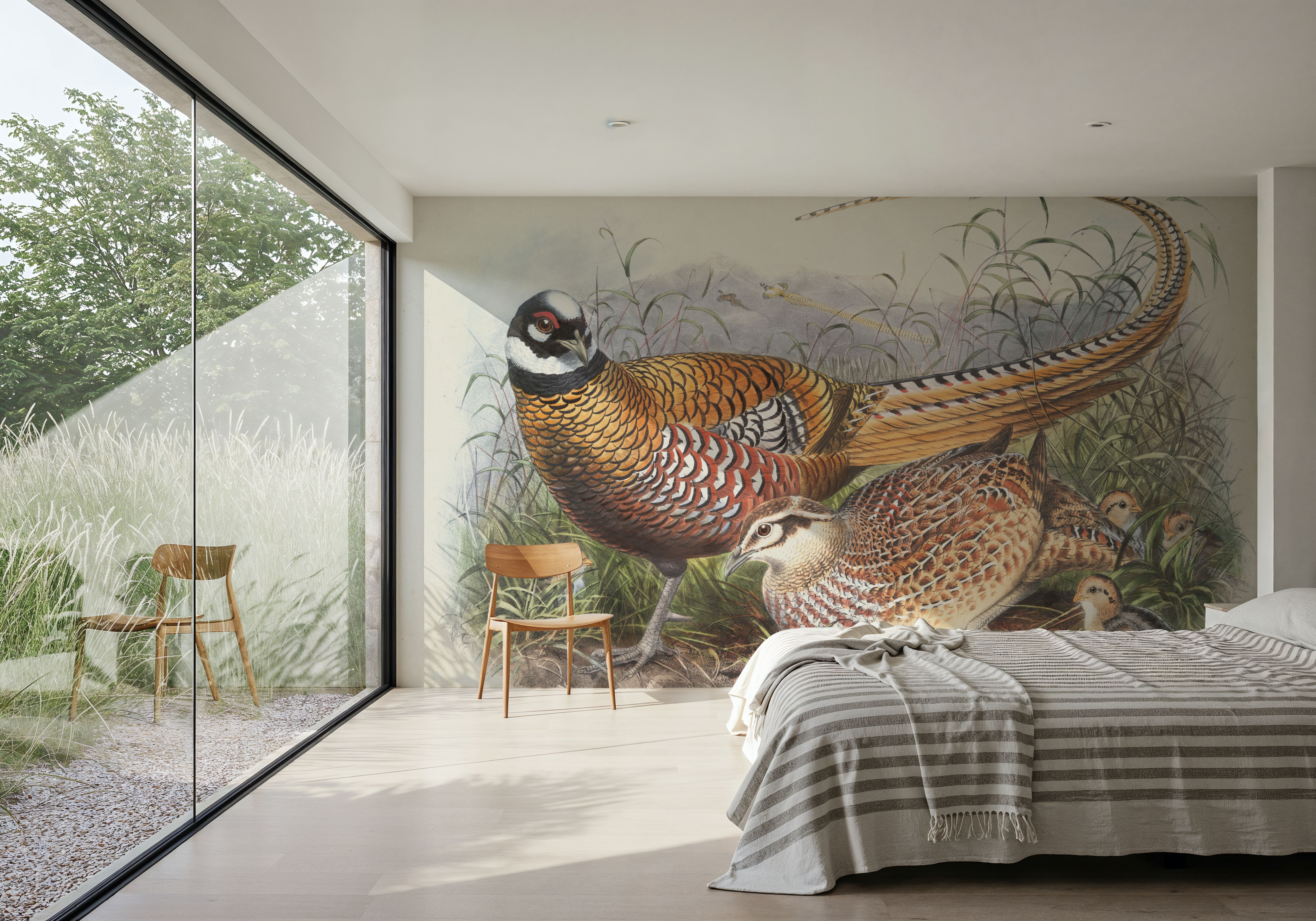 Autumn Pheasant II