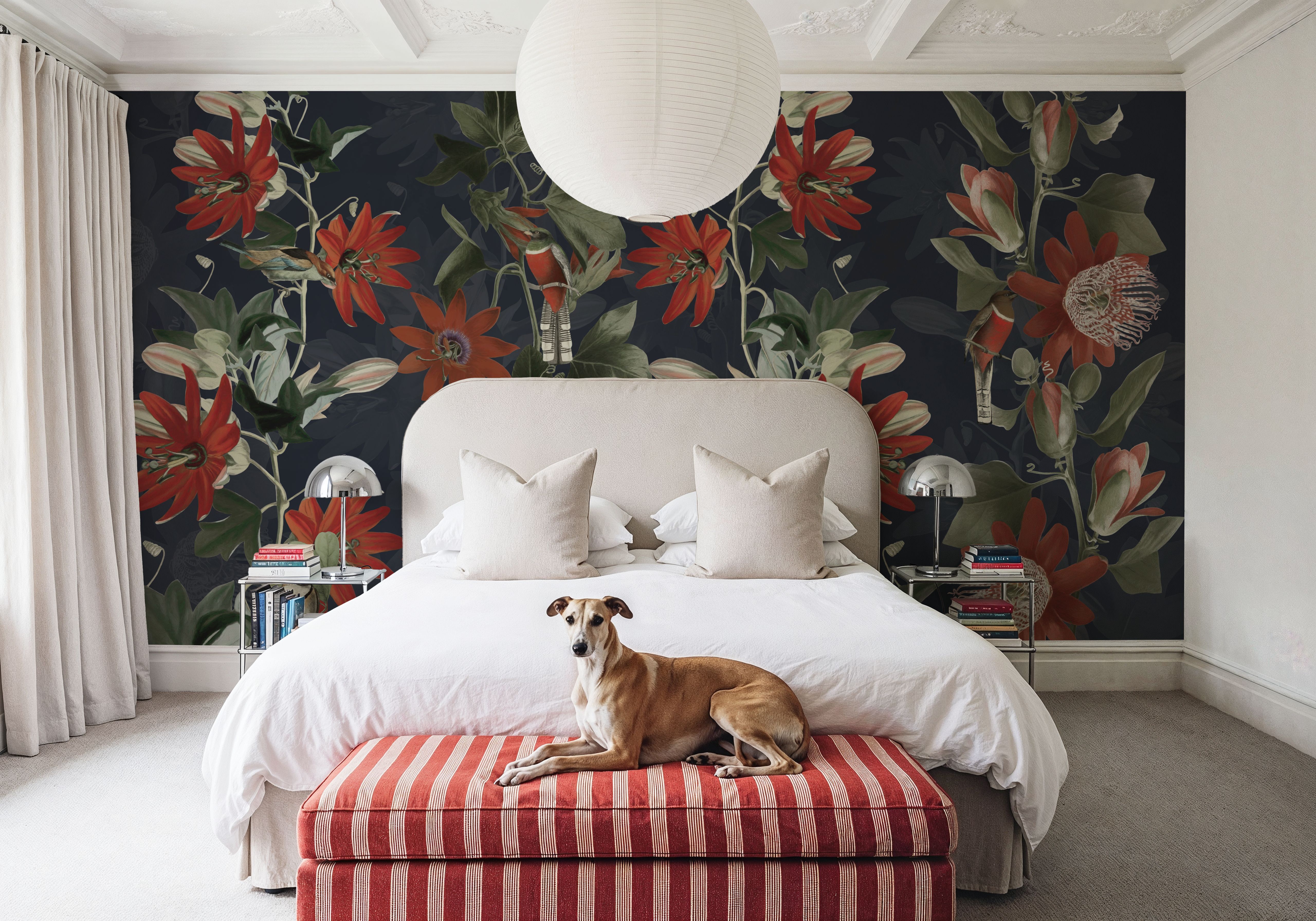 Contemporary Clematis 