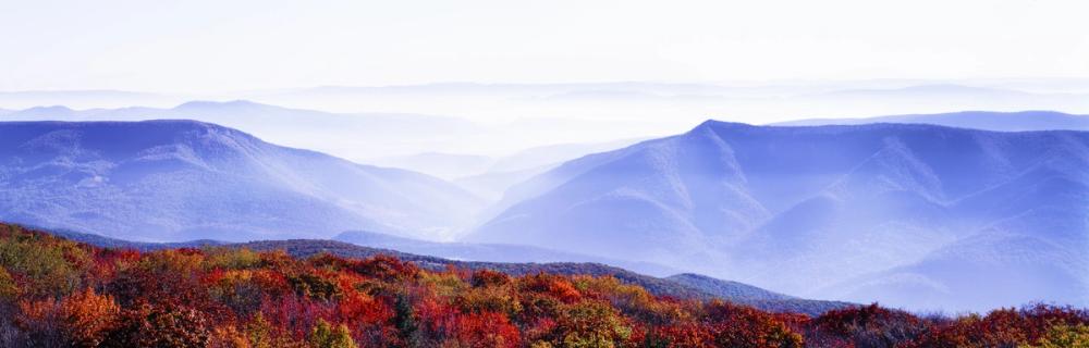Autumn Mountain Mist