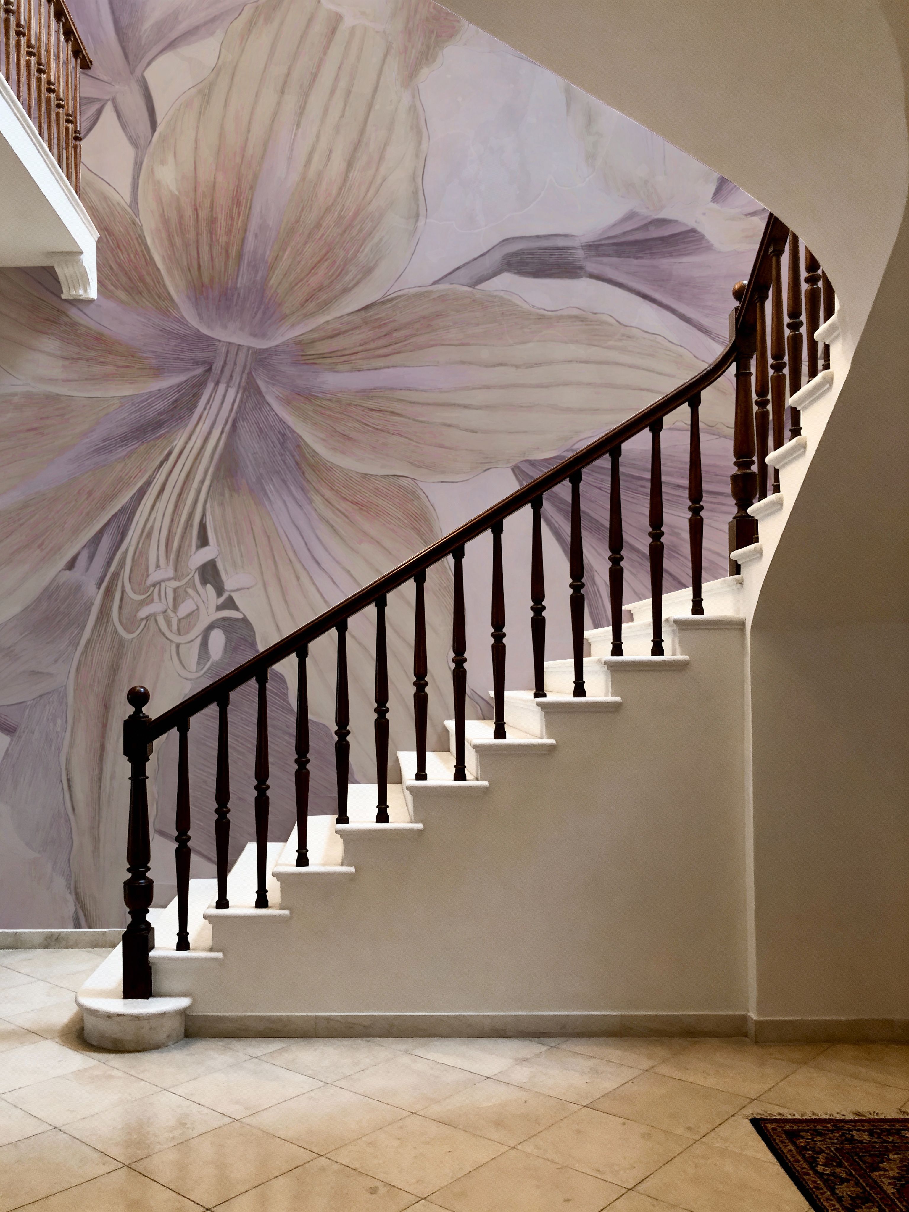  Amarantus dream Pink