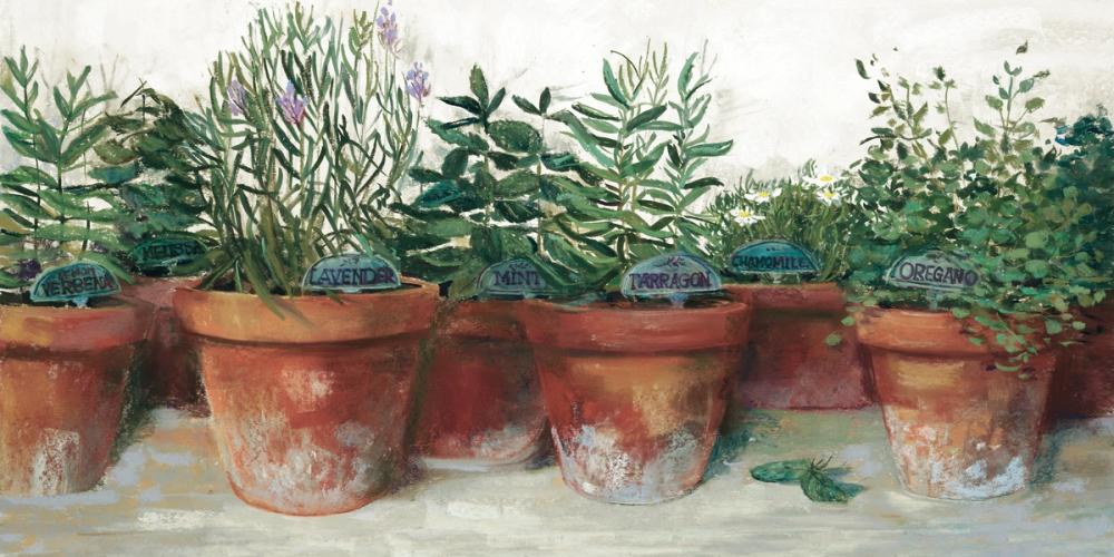 Sage Pots