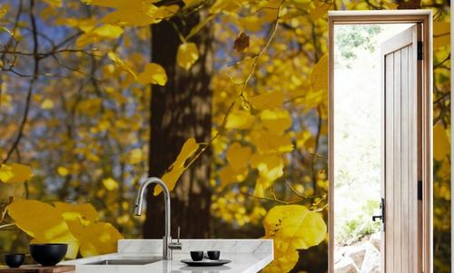 Autumn Radiance