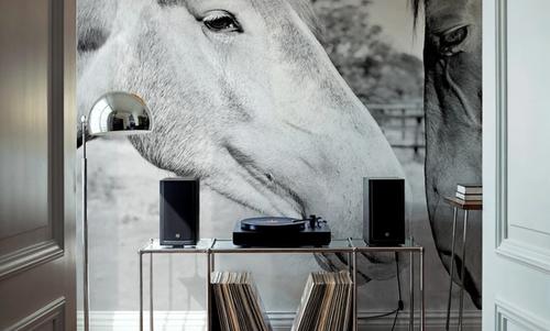 Two Horses BW