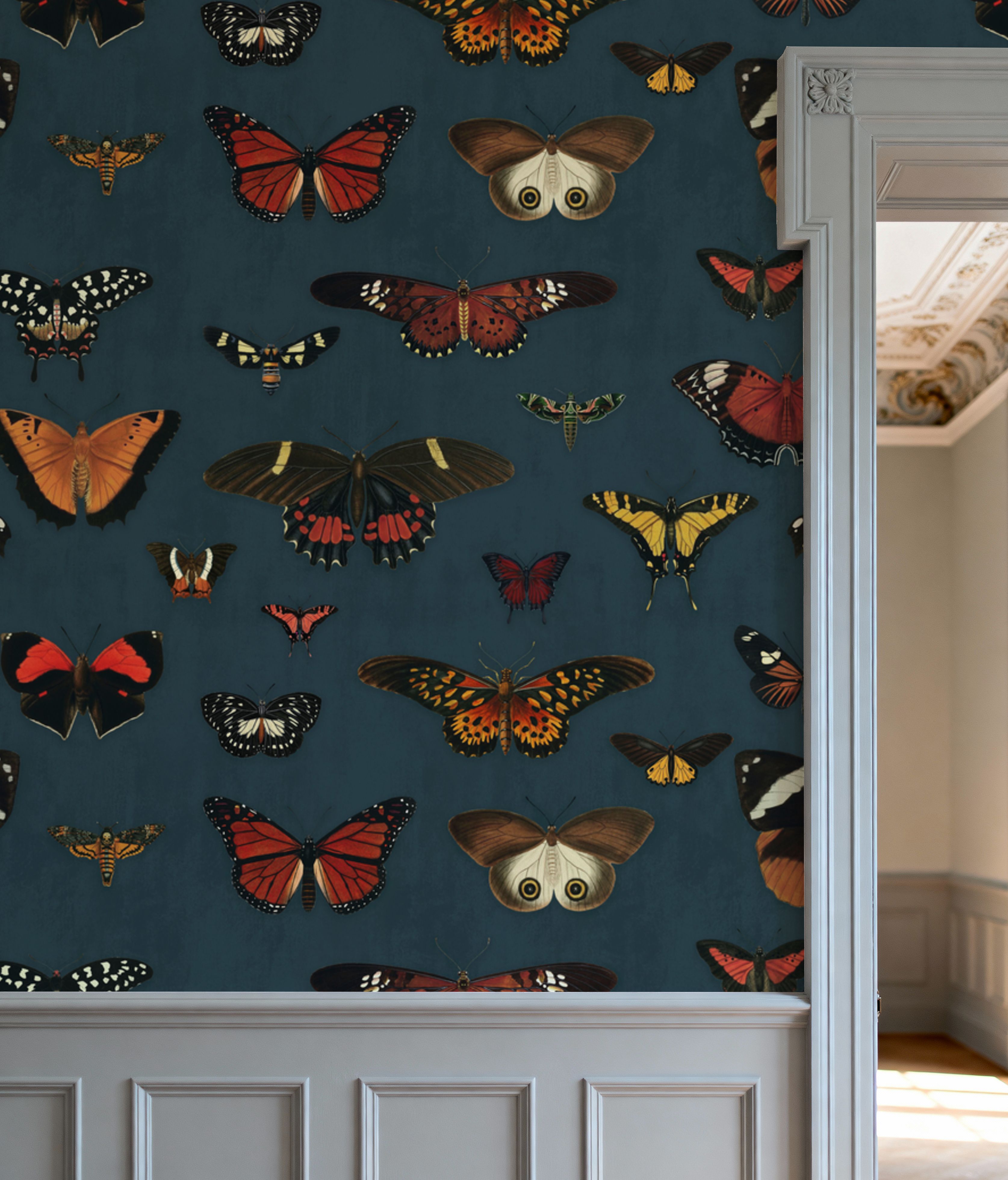 Butterfly Collection Teal