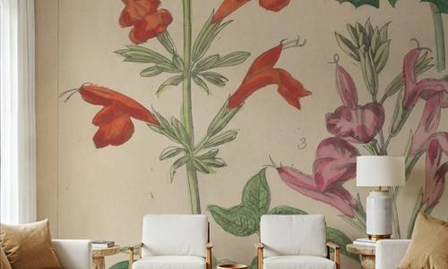 Salvia Florals I