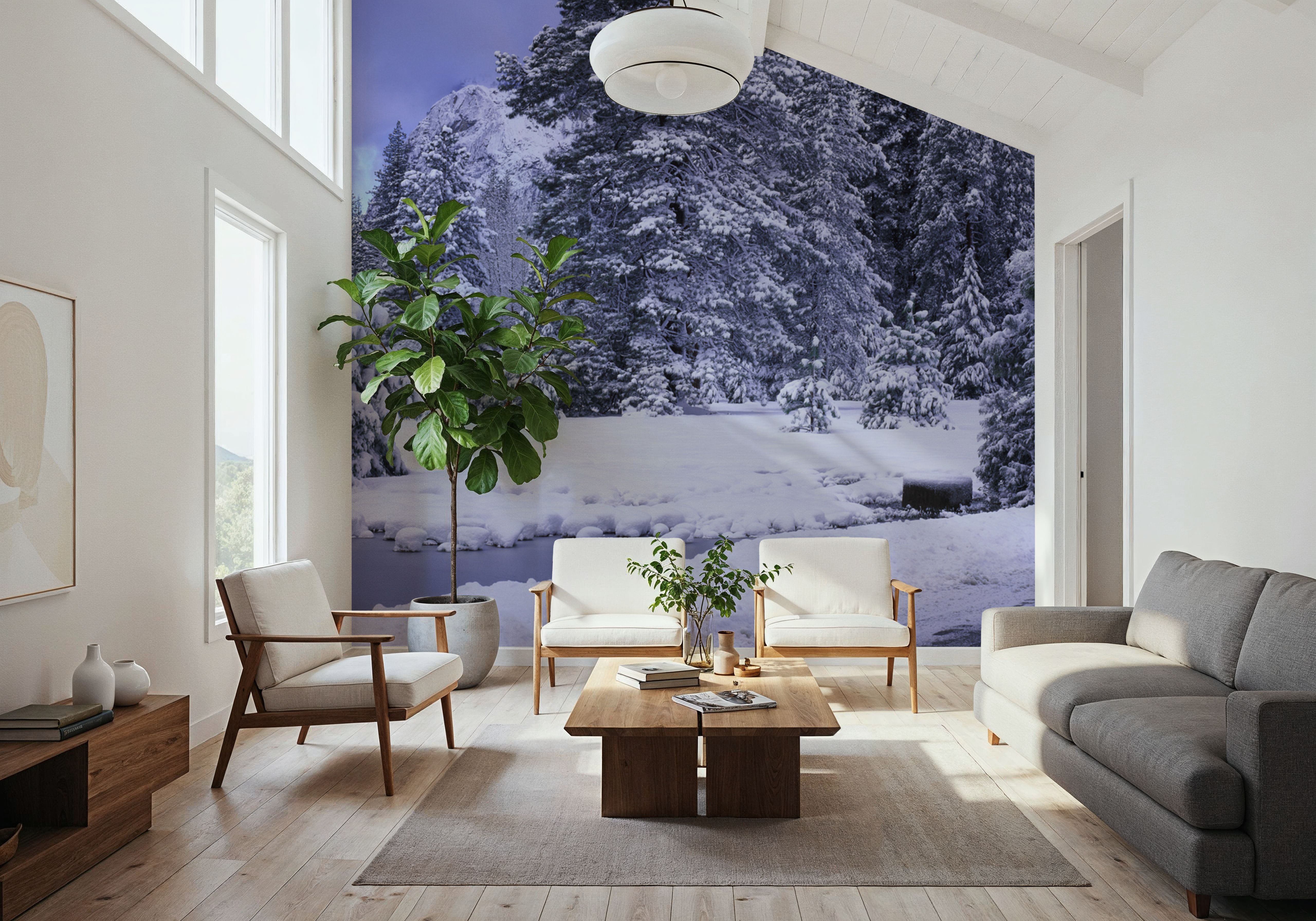 Winter Forest Junction