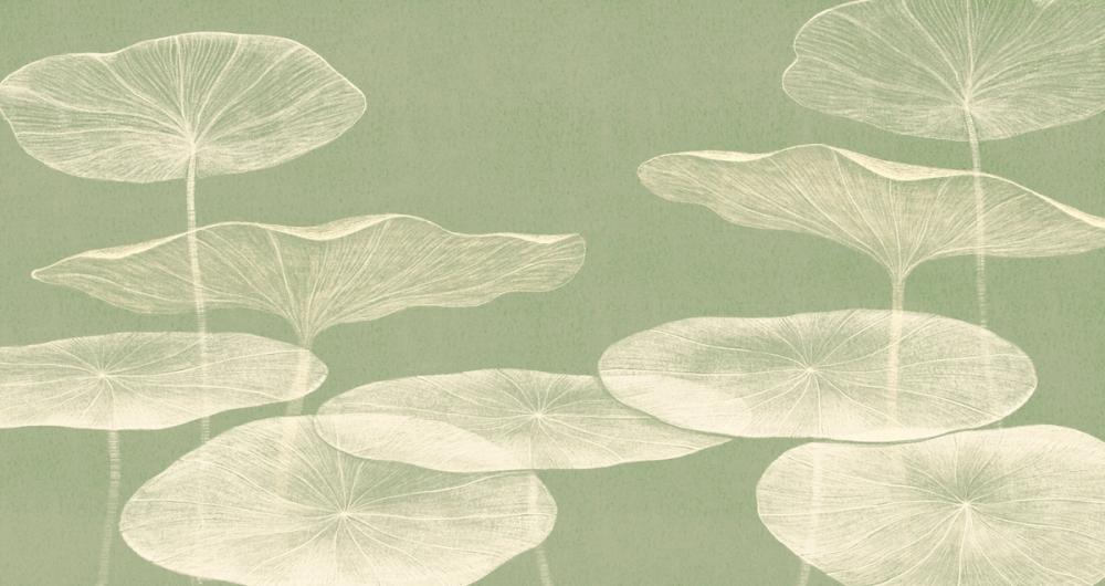 Subtle Water Lily Drawing, Light Green