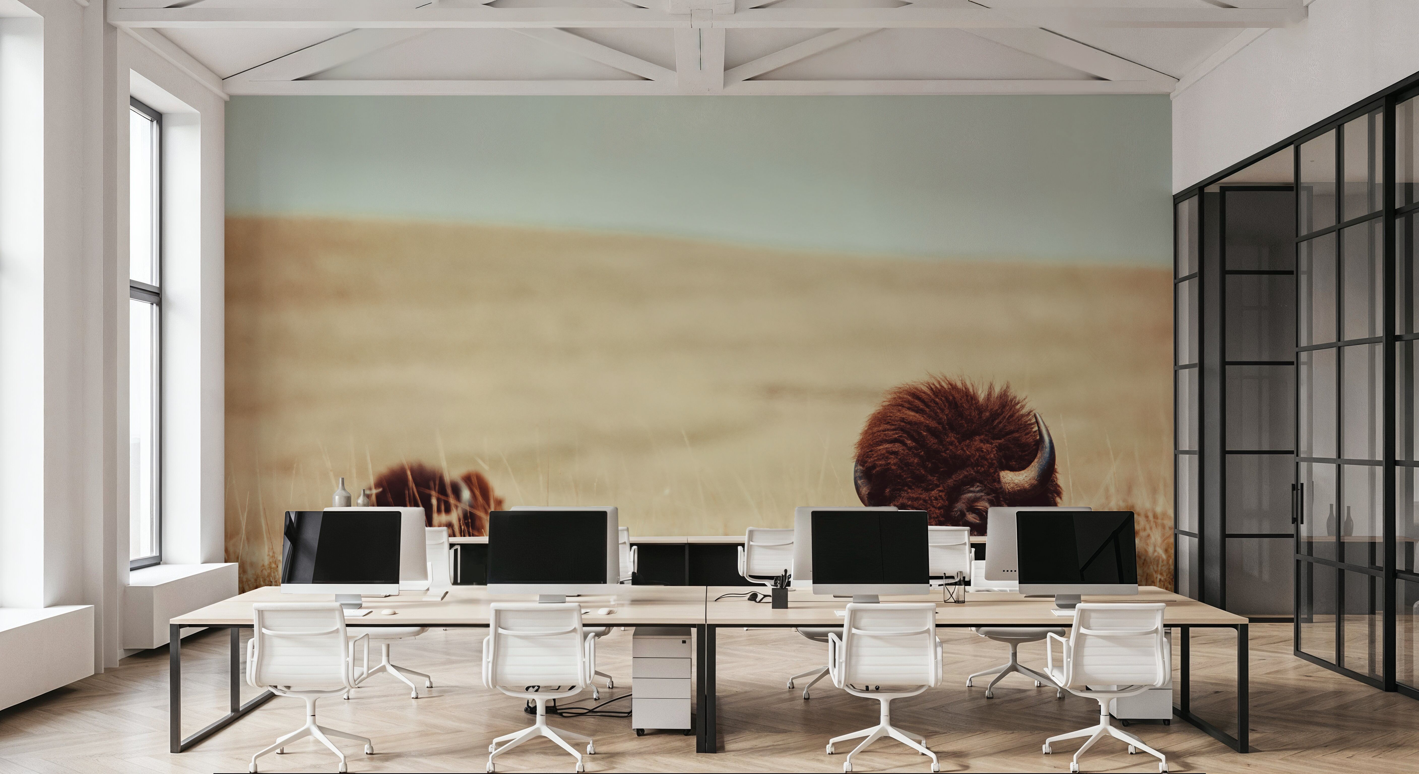 Tall Grass Bison, Papier peint