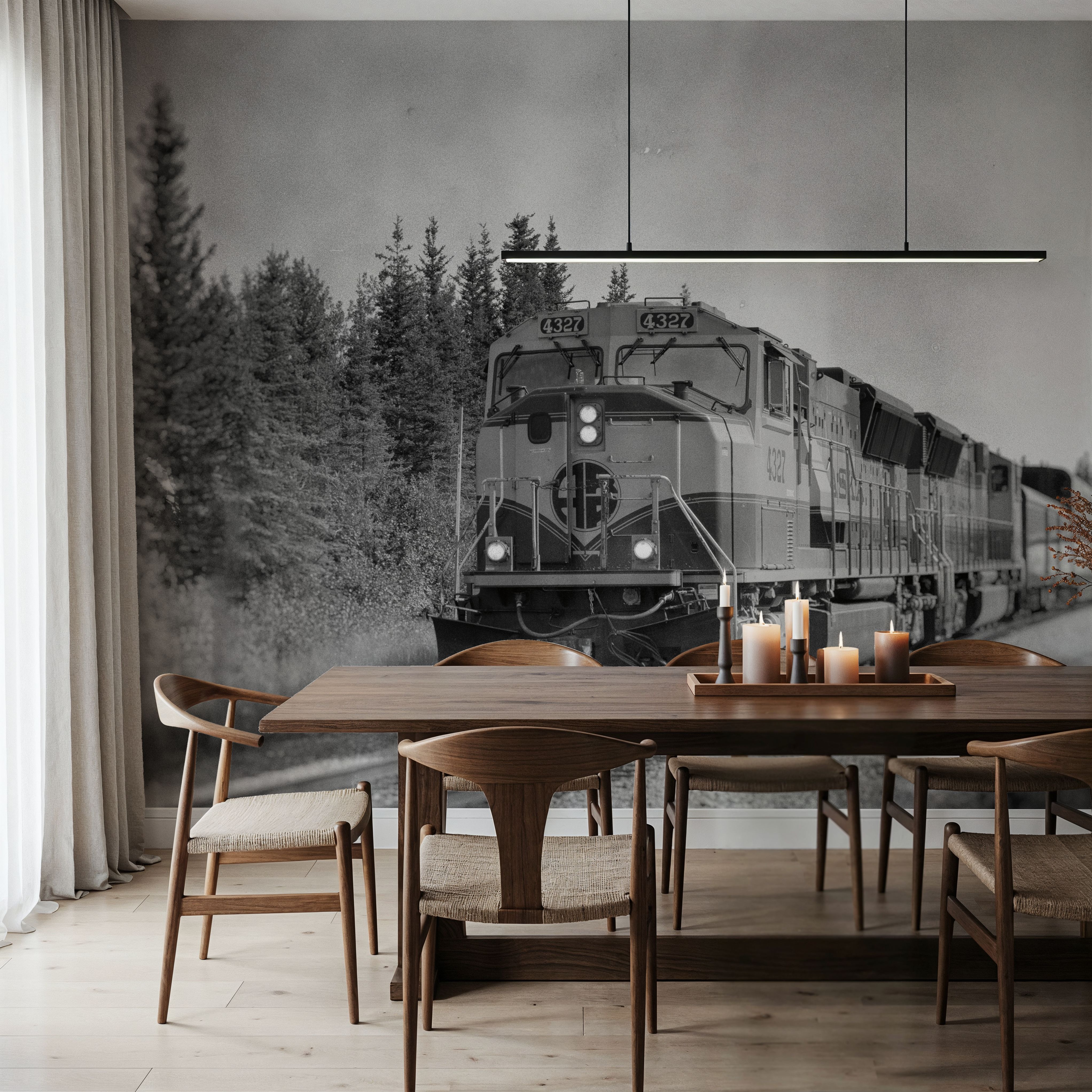 Alaskan Train