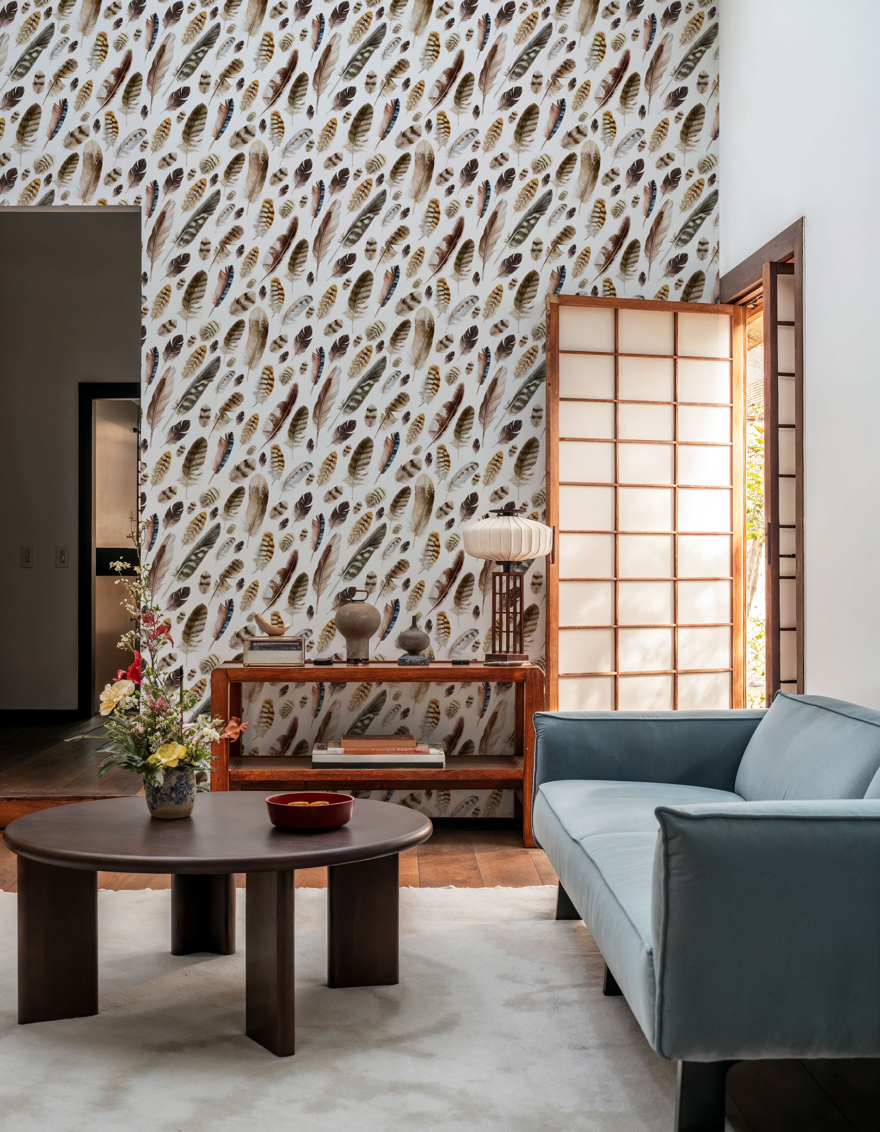 The Feather Collection