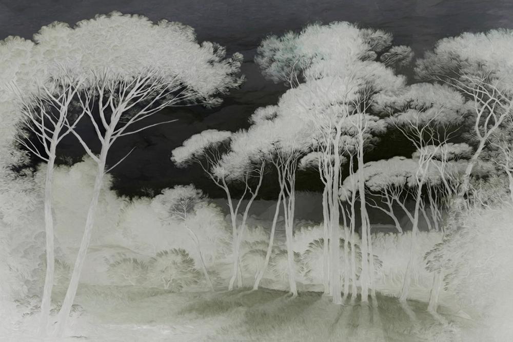 Seeing Through the Forest Green