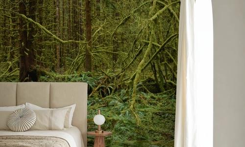 Ancient Moss Haven